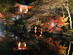 -醍醐寺