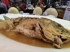 红烧黄河大鲤鱼-阿庄新豫菜(航海东路店)