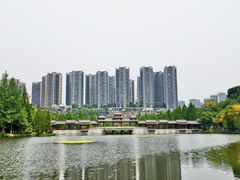 -重庆彩云湖湿地公园