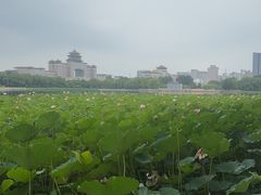 -百荣世贸商城