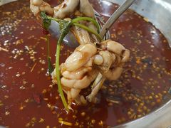 -品鱻黑豆花美蛙鱼(西政店)