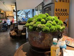 -老绥元烧麦·家常菜(大召店)