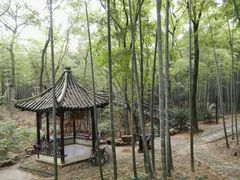 -宝岩生态观光园