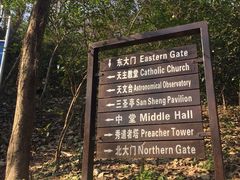 -上海佘山国家森林公园西佘山园