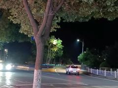 -丹水桥地锅鱼·翘嘴鲌·地方特色全鱼宴(丹江口大坝店)