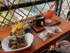 -柴犬高等学院·狗咖·柴犬售卖·宠物训练