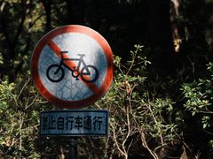 -上海滨江森林公园