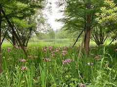 -贵阳市花溪国家城市湿地公园