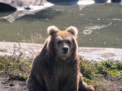 -宁波野生动物园