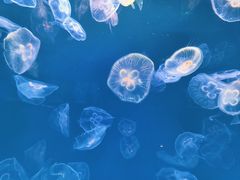 -多彩贵州城极地海洋世界