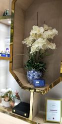 -深圳鹏爱悦心医疗美容医院