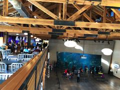 -西雅图水族馆