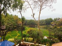 -四季酒店下午茶