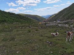 -五台山风景名胜区