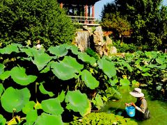 -国家植物园南园