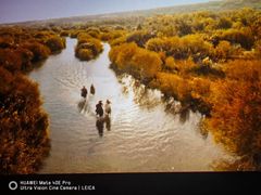 -SFC上影影城(新世界店)