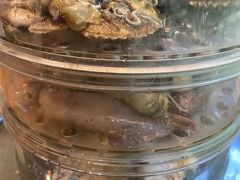 -鲜小岛·铜锅涮肉