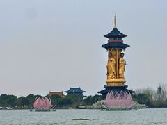 -溱湖国家湿地公园