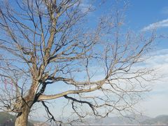 -丽江泸沽湖景区