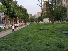 -龙头寺公园