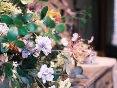 -IFIF 如果花園(宽厚里店)