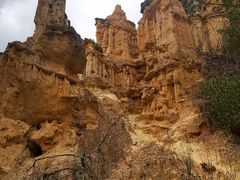 -元谋土林景区(物茂土林)