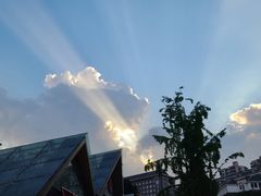 -三峡古玩城(泰古广场店)