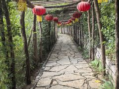 -井塘古村