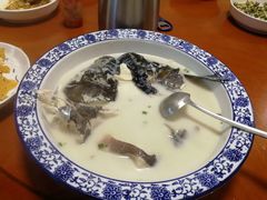 -全乐鱼馆·淳牌有机鱼直营店