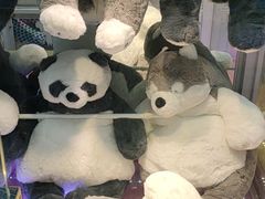 -PAWTOY爪e玩偶店(天兴罗斯福店)