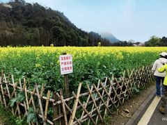 -贵阳市花溪国家城市湿地公园