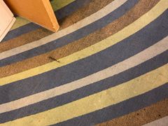 -深圳悦如酒店(香蜜公园车公庙地铁站店)