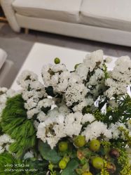 -HEYAN荷妍专业脱毛连锁机构