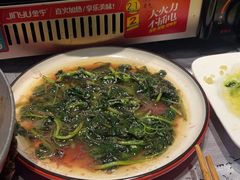 -红辣椒·川菜·火锅(张杨路店)