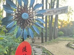 -林间山庄