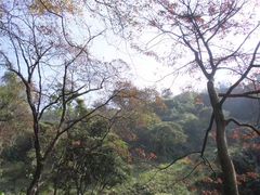 -广州市石门国家森林公园