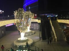 -野狸岛