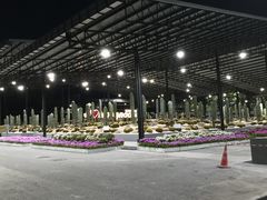 -东芭乐园