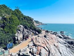 -广东惠东海龟国家级自然保护区