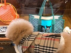 -Goyard 高雅德(国贸商城店)