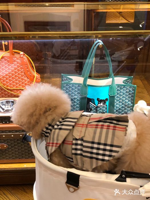 Goyard高雅德(国贸商城店)图片
