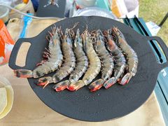 -春花秋色城市公园