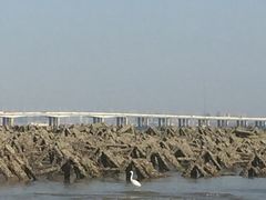 -集美鳌园景区