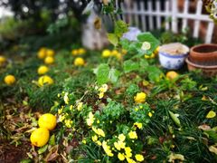 -杭州西湖风景名胜区-满觉陇四眼井