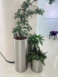 -AIST爱思特医疗美容医院