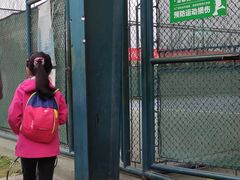 -成都高新创新角度网球俱乐部