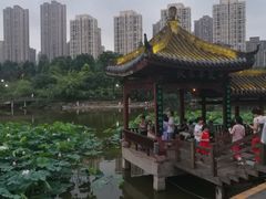 -龙头寺公园