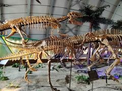 -辽宁古生物博物馆