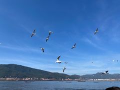 -海埂大坝