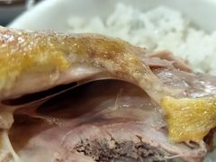 -鸽鸟轩(石岐店)